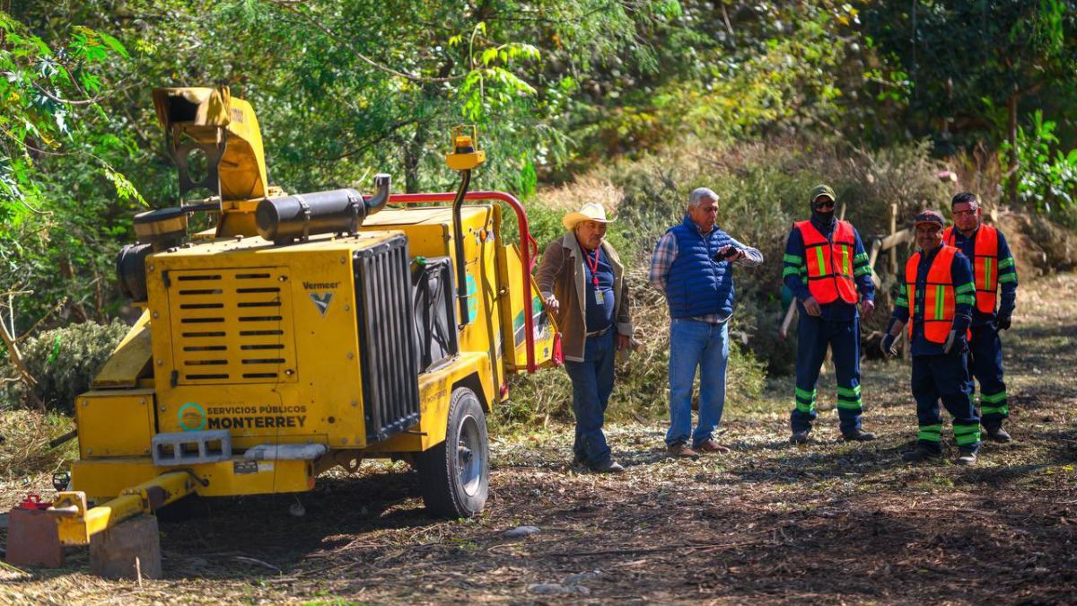 Recolección-reciclaje-pinos-de-navidad-monterrey | Tu Colonia Nuevo León