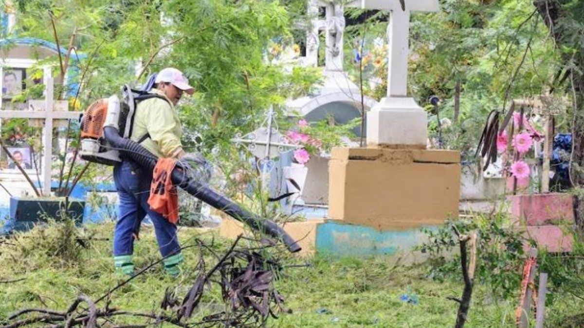 Monterrey | Tu Colonia Nuevo León Monterrey | Tu Colonia Nuevo León