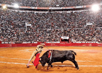 suspende-corridas ciudad-de-méxico tauromaquia