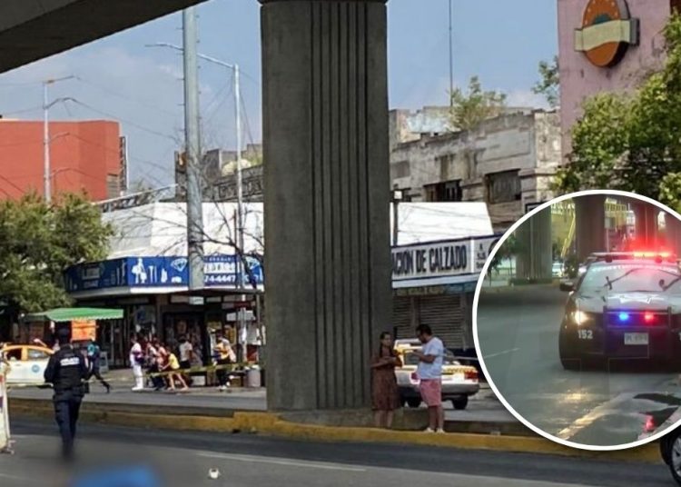  | Tu Colonia Nuevo León