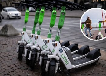  | Tu Colonia Nuevo León