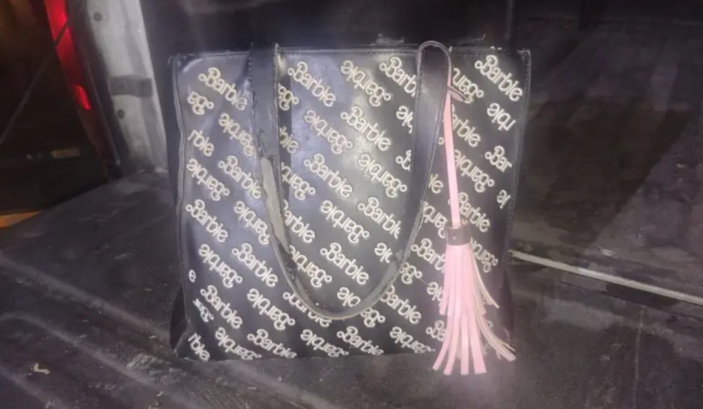 Botón De Alerta | Tu Colonia Nuevo León Botón-de-alerta-colonia-acero-robo-violento-estrategia-escudo-cámaras-del-c4