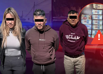 Estrategia Escudo | Tu Colonia Nuevo León