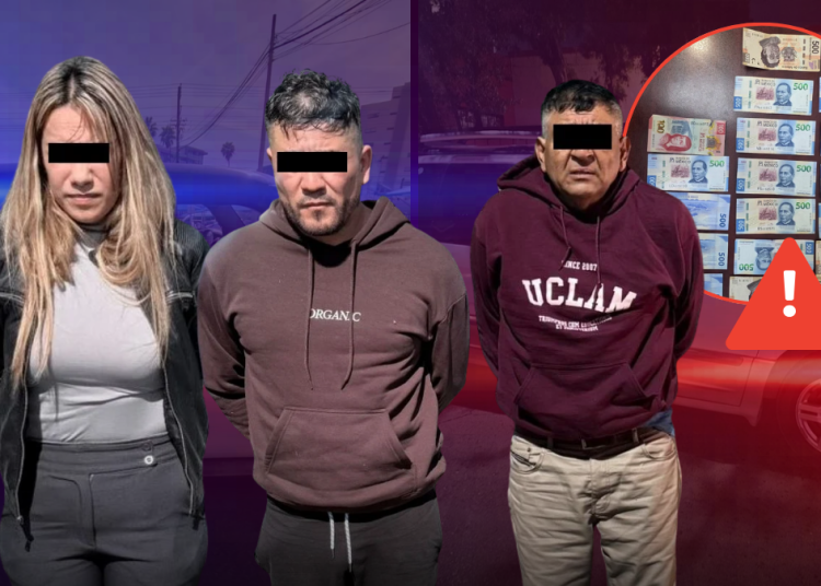 Estrategia Escudo | Tu Colonia Nuevo León