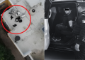 Drone View of a Flat Rooftop with Two Figures Circled in Red; Right Panel Shows a Police Officer with a Detainee in a Vehicle. | Tu Colonia Nuevo León