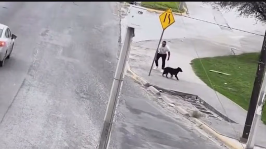 Salva-a-perrito-san-nicolás-tráfico-detenido-rescate-animal-redes-sociales | Tu Colonia Nuevo León