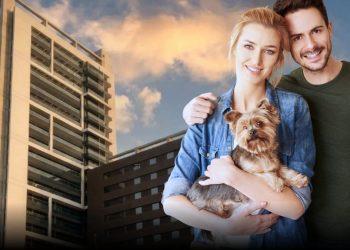 quantium desarrollos departamentos pet friendly