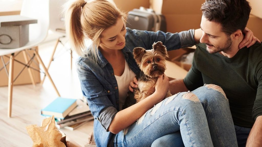 | Tu Colonia Nuevo León