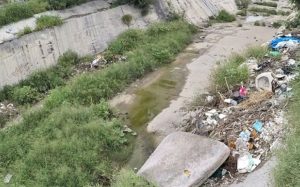  | Tu Colonia Nuevo León