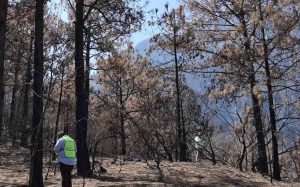  | Tu Colonia Nuevo León