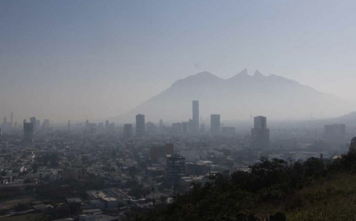  | Tu Colonia Nuevo León