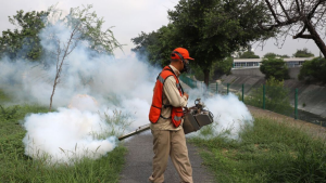 Diputados Del Pri Exigen Fumigación En Escuelas | Tu Colonia Nuevo León