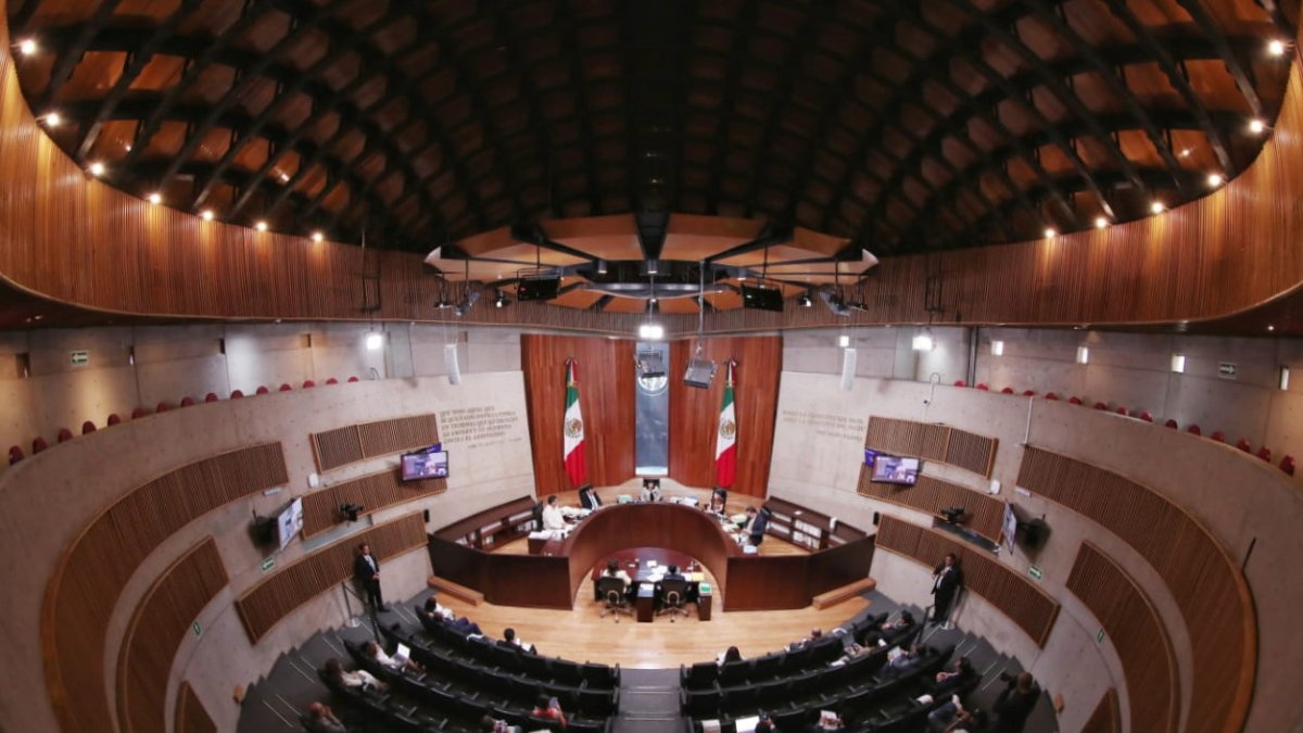 Sala Regional Ratifica Triunfos En Distritos | Tu Colonia Nuevo León